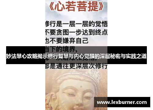 妙法慧心攻略揭示修行智慧与内心觉醒的深层秘密与实践之道